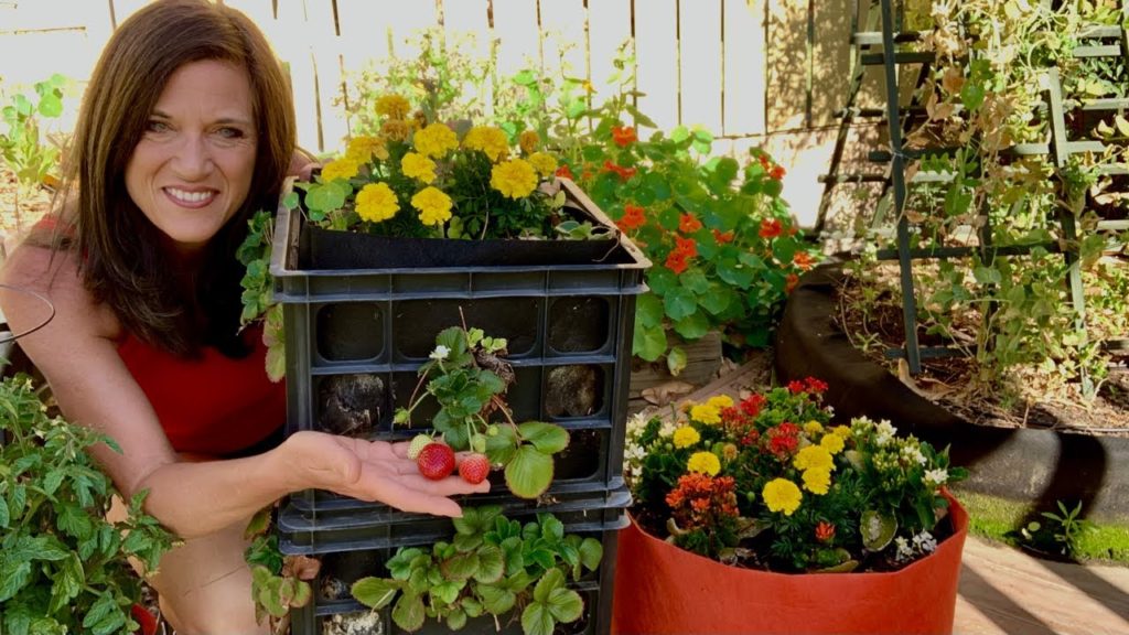 🍓 LIVE: How to Grow a TON of Strawberries (REPLAY)