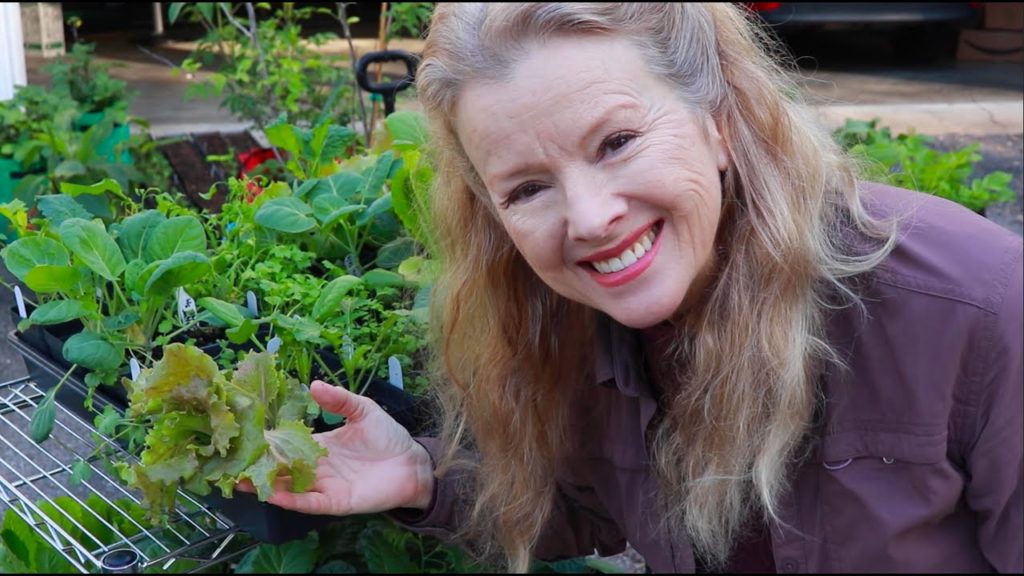 This is as FRESH as it GETS! Eating my FIRST SALAD from my NEW Garden!