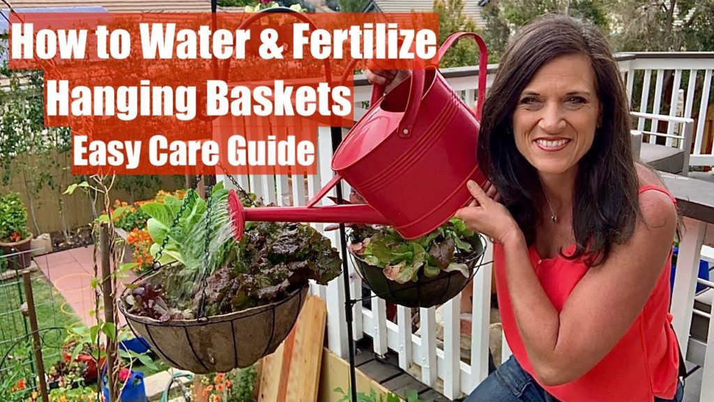 CaliKim: How to Water and Fertilize Hanging Baskets – Easy Care Guide How to Water and Fertilize Hanging Baskets - Easy Care Guide