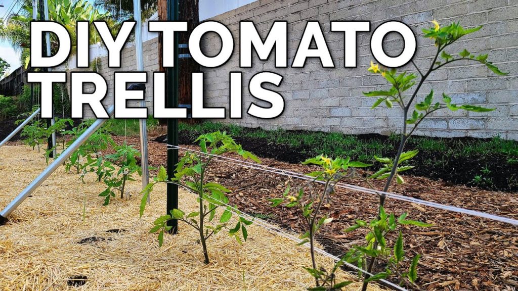 Epic Gardening: 3 DIY Tomato Trellis Ideas, Perfect for ANY Budget ๐
3 DIY Tomato Trellis Ideas, Perfect for ANY Budget ๐