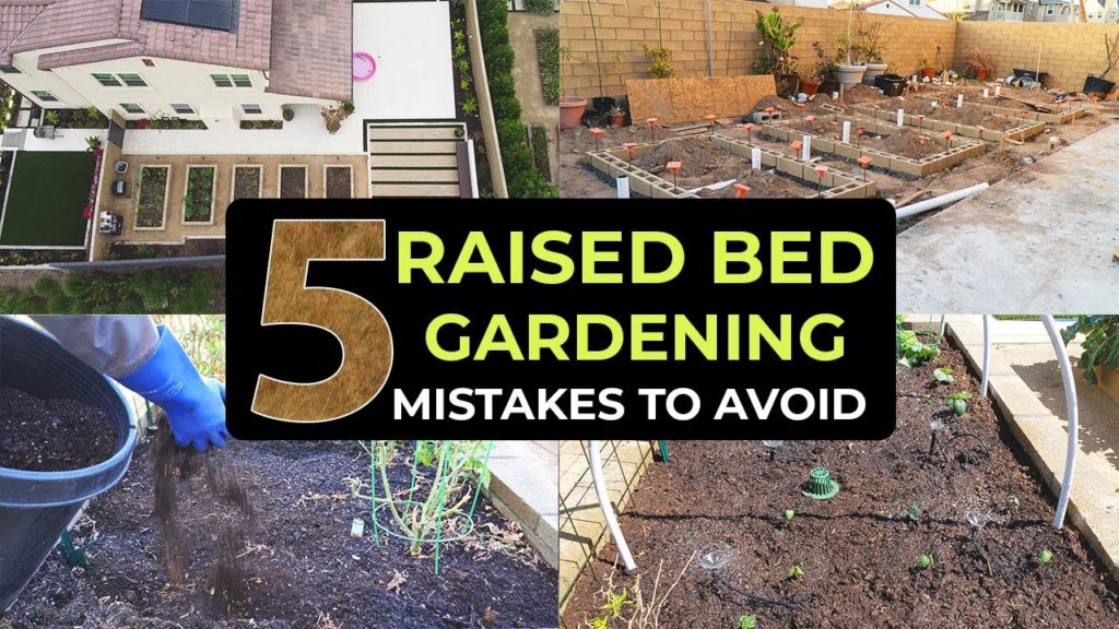 Top 5 Raised Bed Gardening Mistakes To Avoid - Garden in Raised Beds Effectively!