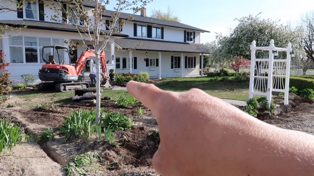 Update on Front Yard Destruction, Transplanting a Few Things & Driveway Weed Control! ⚒🌿