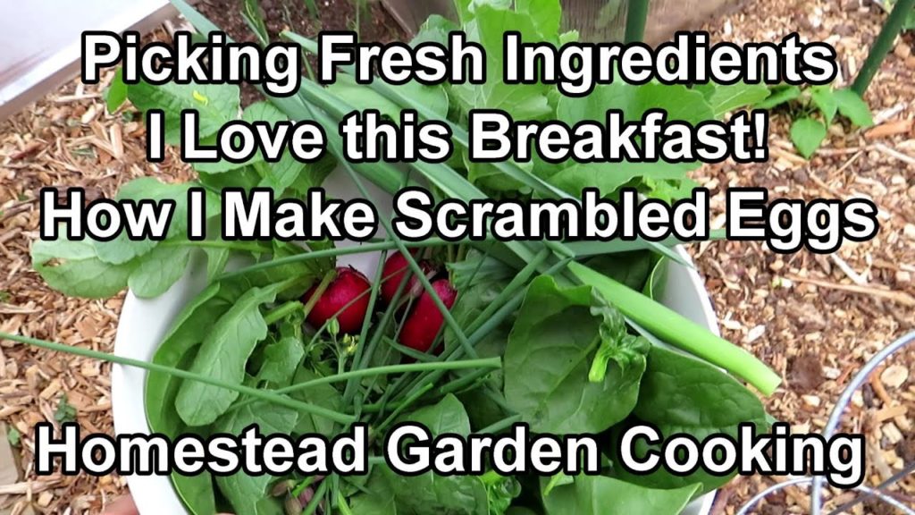 Gary Pilarchik: My Favorite Simple Garden Breakfast – 'Fresh Picked Ingredient' Scrambled Eggs: Homestead Cooking My Favorite Simple Garden Breakfast - 'Fresh Picked Ingredient' Scrambled Eggs: Homestead Cooking