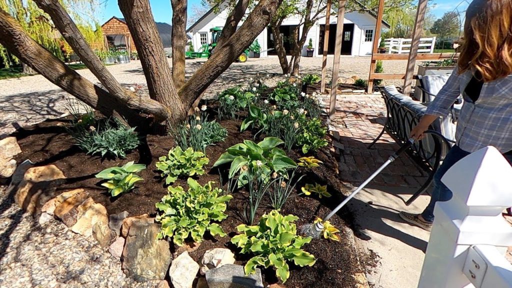 Garden Answer: Digging Up & Moving 34 Hostas!!! 💚💪🥵 // Garden Answer Digging Up & Moving 34 Hostas!!! 💚💪🥵 // Garden Answer