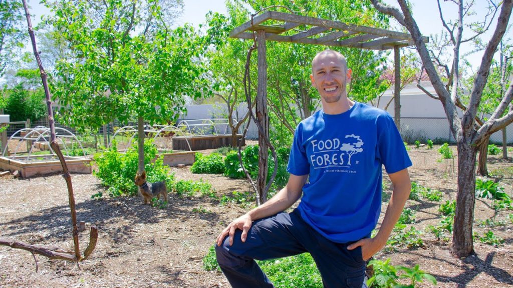 Full Spring Garden Tour, Backyard Permaculture Gardening