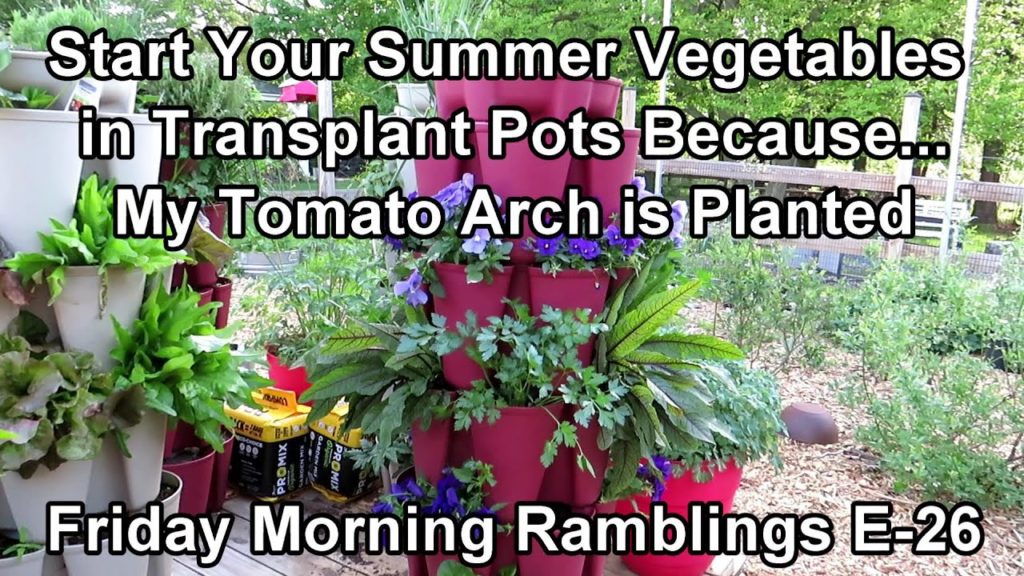 Started My Summer Vegetables in Seed Cups, Tomato Arch, Tips & Tour: FM Garden Ramblings  E-26