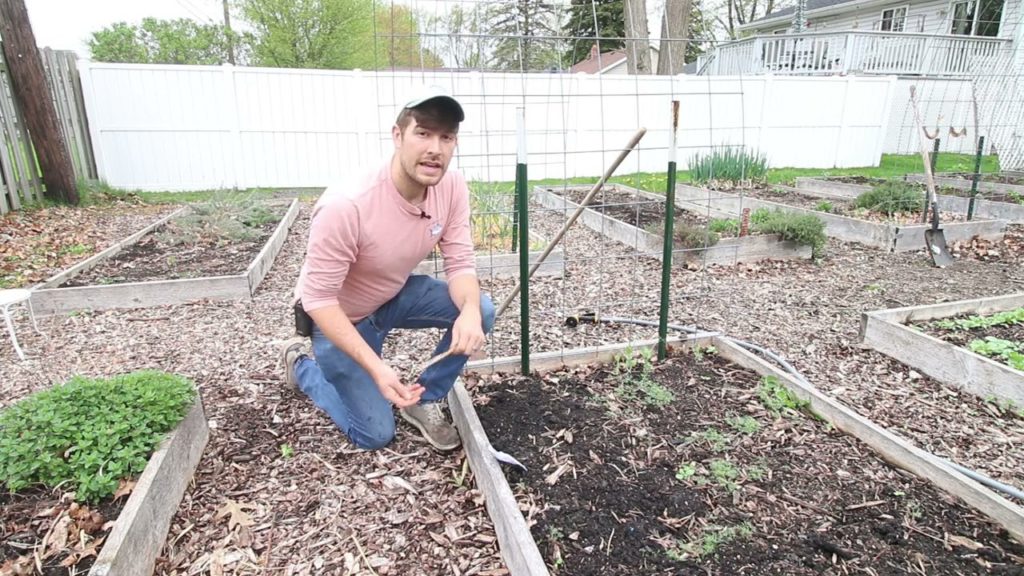 5 Tips to Take Your Direct Sowing Game to The Next Level