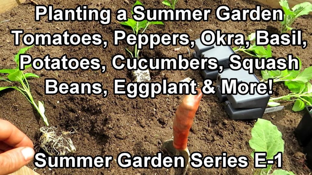 Gary Pilarchik: Planting My 'Summer Garden' E-1 – Tomatoes, Beans, Cucumbers, Peppers, Squash & More: All the Steps Planting My 'Summer Garden' E-1 - Tomatoes, Beans, Cucumbers, Peppers, Squash & More: All the Steps