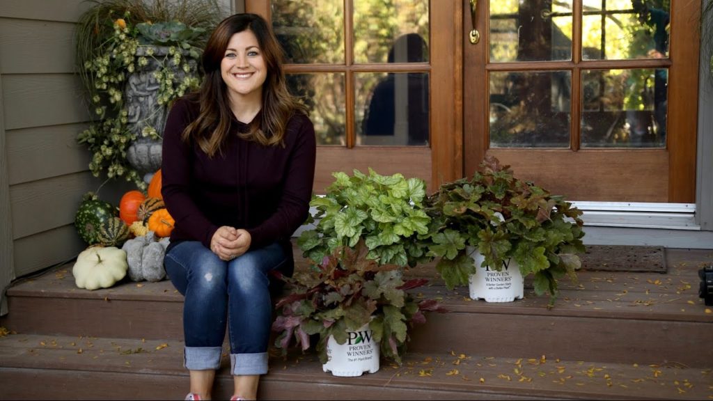 Difference Between A Heuchera, Tiarella and Heucherella // Garden Answer