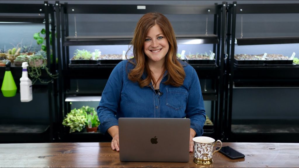 Do You Do Garden Consulting?? // Why is the Gazebo Still There?? // Recap 🌿