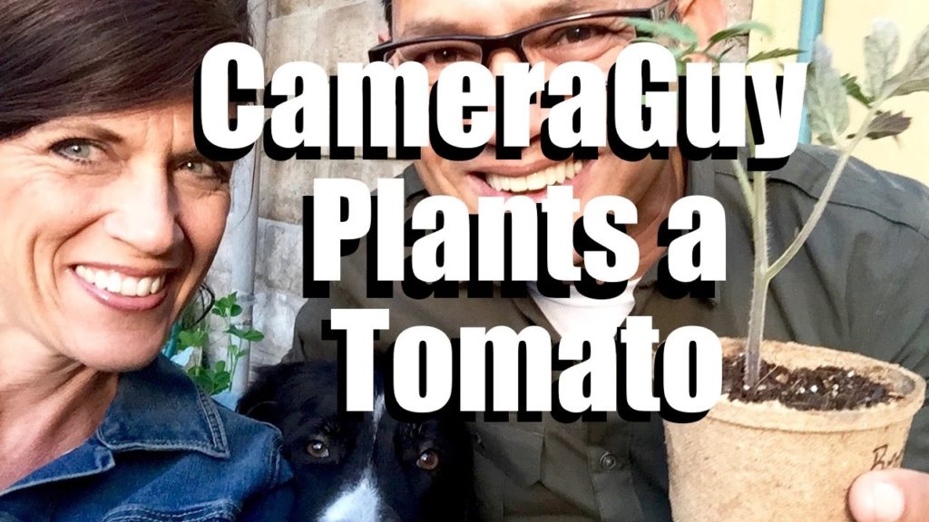 CameraGuy Plants a Tomato? Livestream (replay)