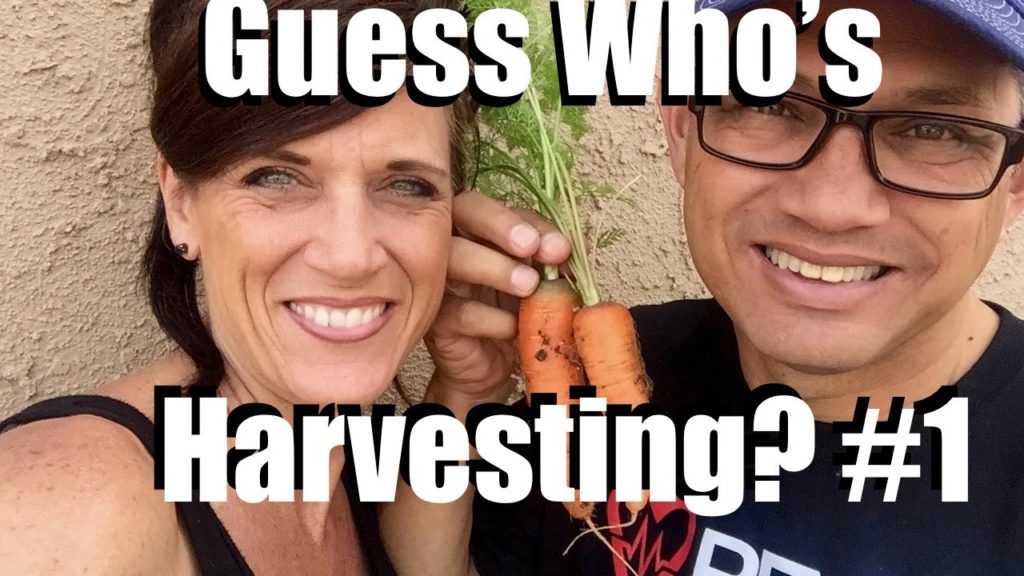 CaliKim: Guess Who is Harvesting? Part 1 Livestream (Replay) Guess Who is Harvesting? Part 1 Livestream (Replay)