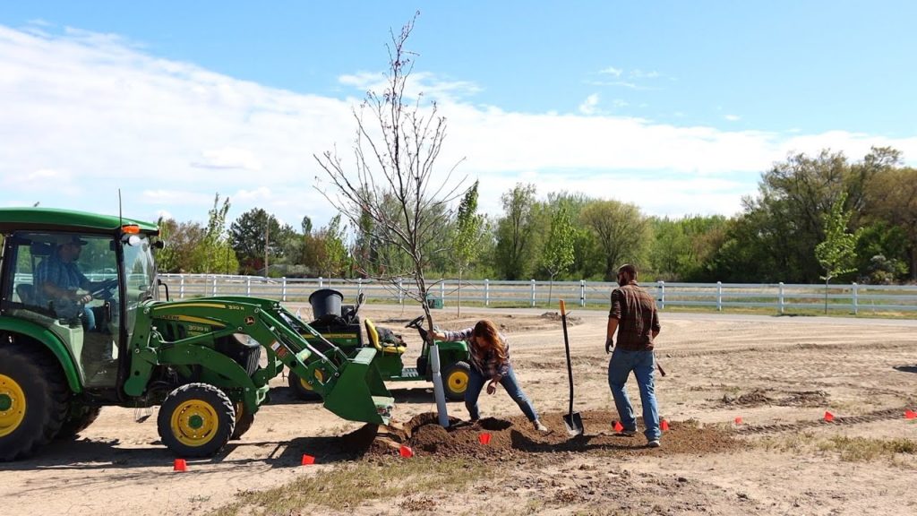 Garden Answer: FINALLY Planting Trees on the New Property! 🙌🌳 // Garden Answer FINALLY Planting Trees on the New Property! 🙌🌳 // Garden Answer