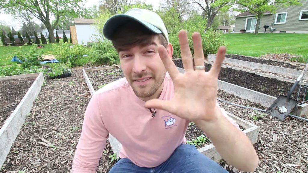 MIgardener: 7 Reasons Your Plants are Growing Slowly 7 Reasons Your Plants are Growing Slowly