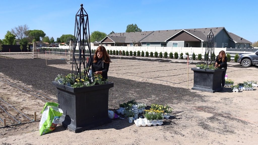 Garden Answer: Testing Out Some New Annuals! 🌿🌼 // Garden Answer Testing Out Some New Annuals! 🌿🌼 // Garden Answer