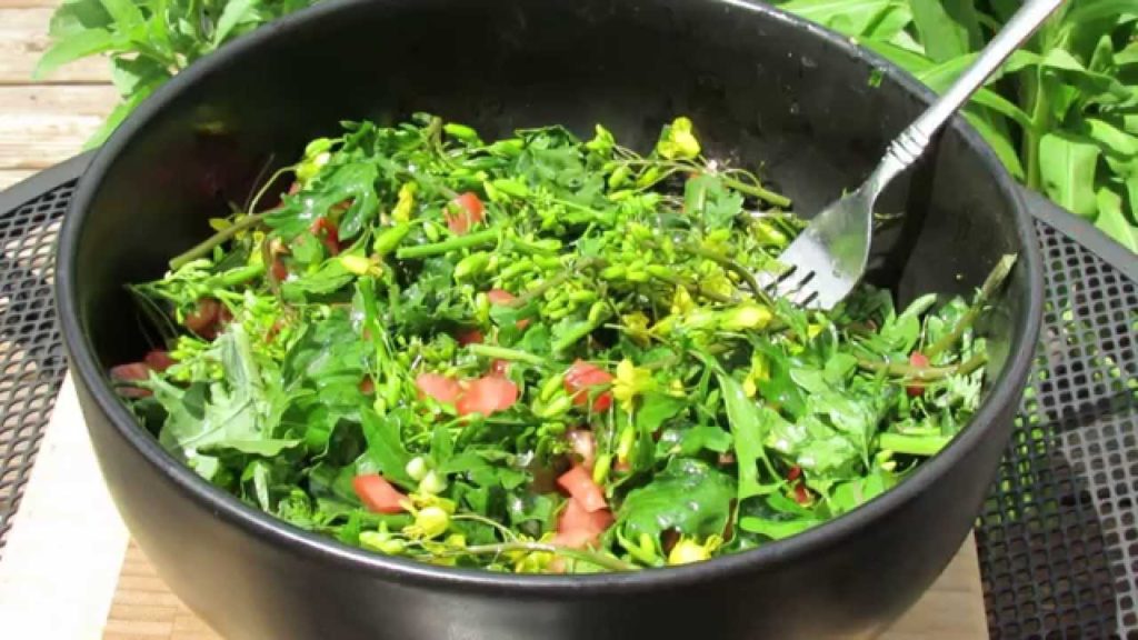 The Harvest & Preparation: Olive Oil & Red Wine Vinegar Kale Flower, Bud & Leaf Garden Salad