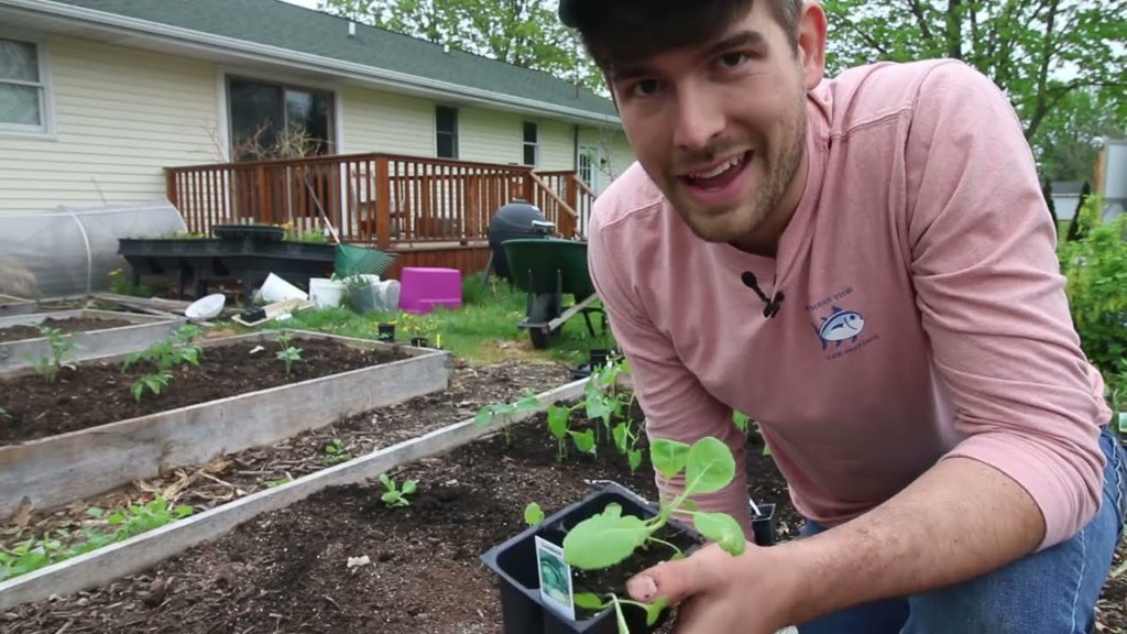 Planting out The Garden Today!