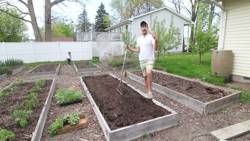 Planting Potatoes with My Daughter