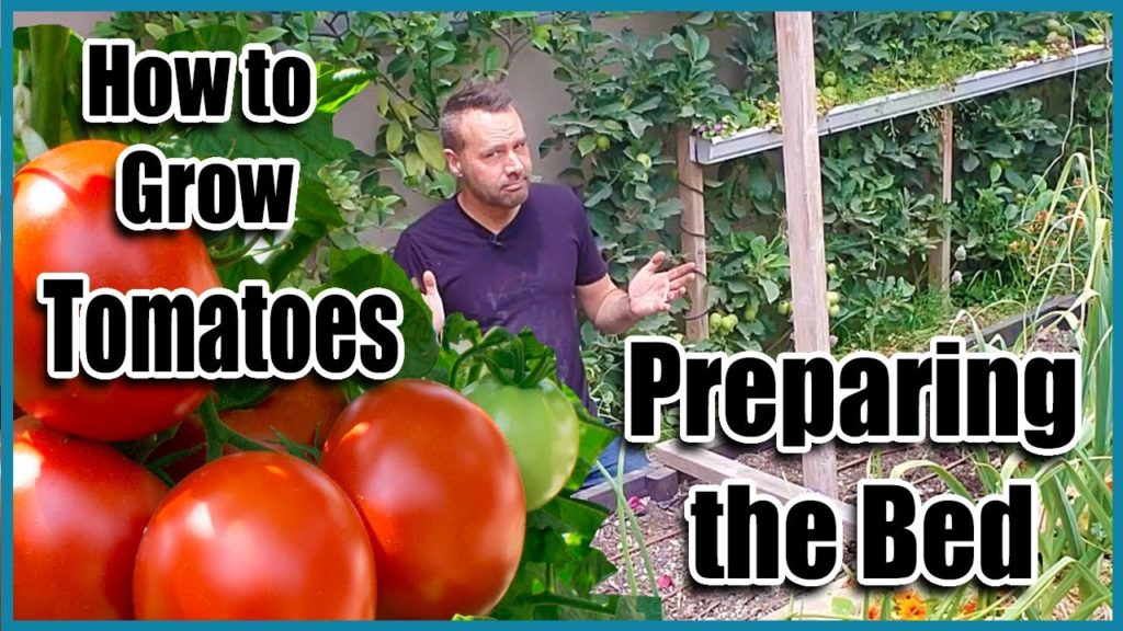 How To Grow Tomatoes - Preparing the Bed