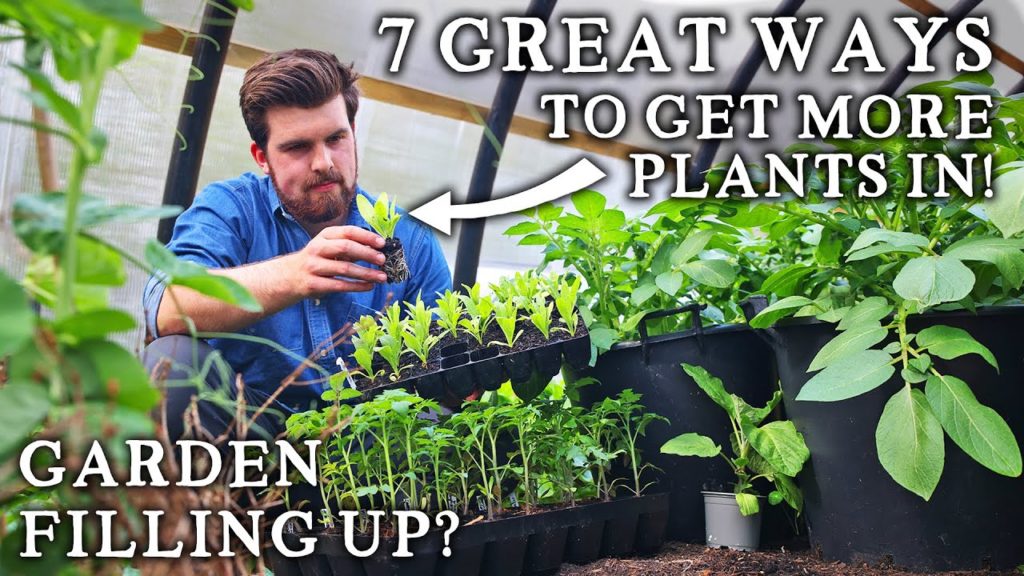 7 Awesome Practical Ways to Fit in EXTRA Crops Around Your Vegetable Garden | Homegrown Abundance