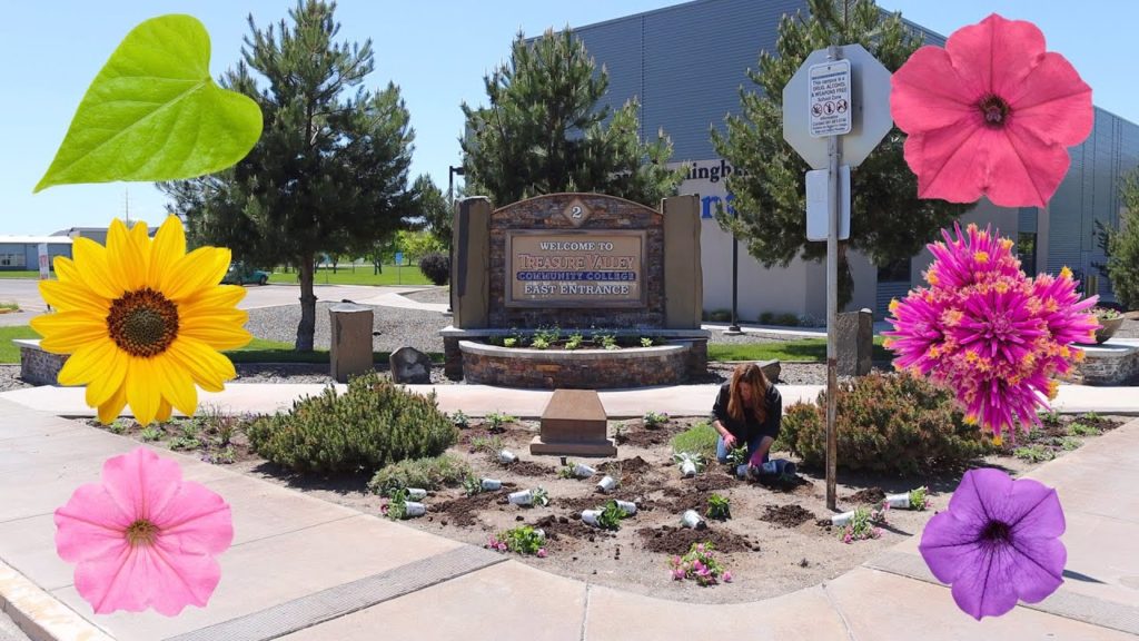 Garden Answer: Planting Low Maintenance/High Impact Plants at Our Local Community College! 👩🎓🙌💚 // Garden Answer Planting Low Maintenance/High Impact Plants at Our Local Community College! 👩🎓🙌💚 // Garden Answer