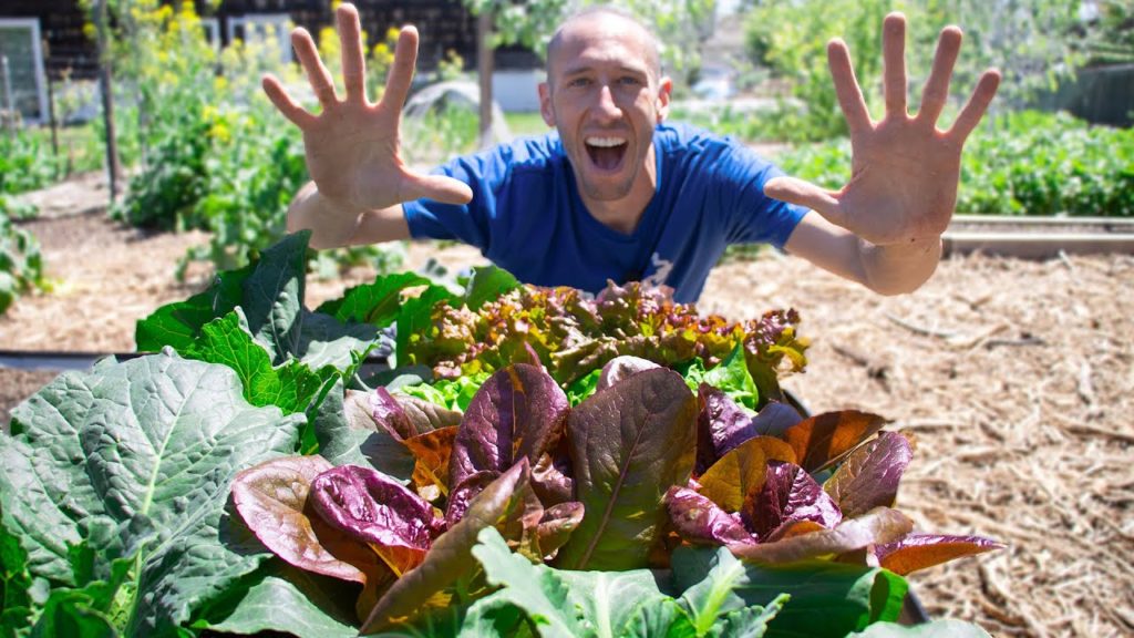10 Fast Growing Veggies | Easy to Grow, Easy to Harvest