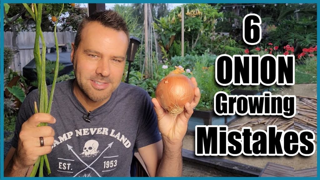 How to Grow Onions from Seed