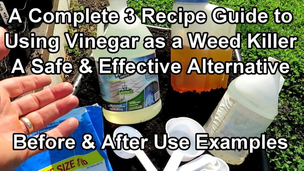 Gary Pilarchik: How to Use Vinegar as an Organic Garden Weed Killer: 3 Recipes, Different Strengths & Use Examples How to Use Vinegar as an Organic Garden Weed Killer: 3 Recipes, Different Strengths & Use Examples