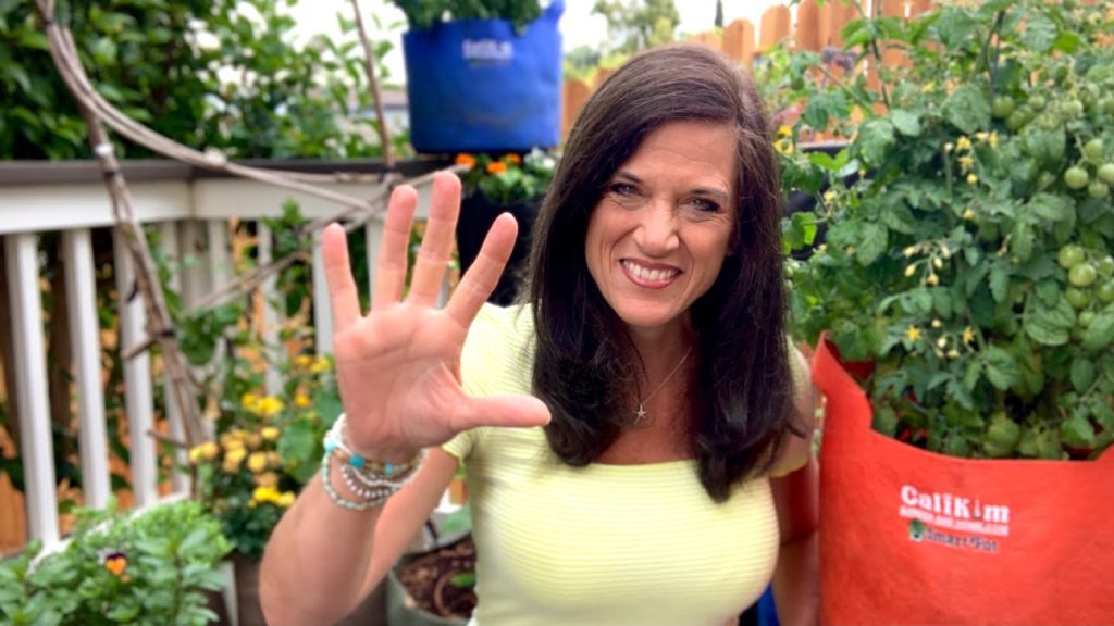 CaliKim: 🍅LIVE: 5 Best Vegetables to Grow in 5 Gallon Containers (REPLAY) 🍅LIVE: 5 Best Vegetables to Grow in 5 Gallon Containers (REPLAY)