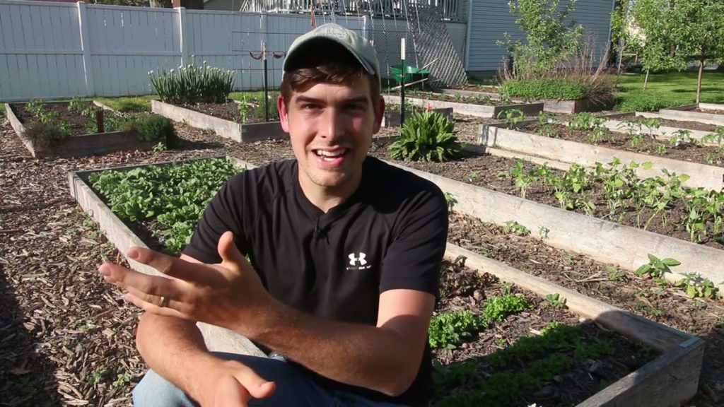 MIgardener: This Gardening Method Changed My Life This Gardening Method Changed My Life