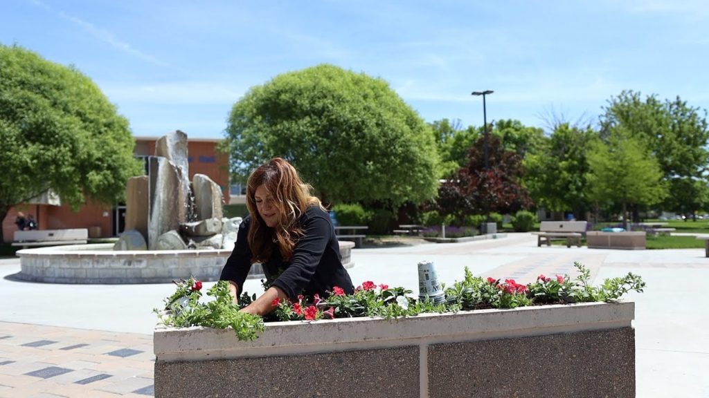 Garden Answer: Planting 19 Containers with Annuals! 🌸🌿// Garden Answer Planting 19 Containers with Annuals! 🌸🌿// Garden Answer