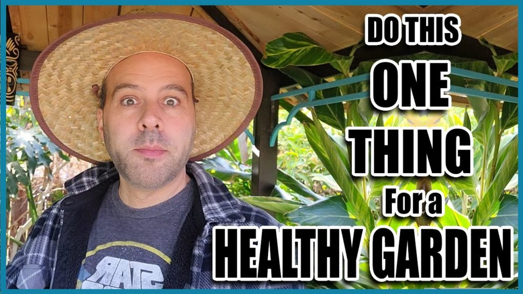 Do This ONE THING For EASIER Organic Gardening