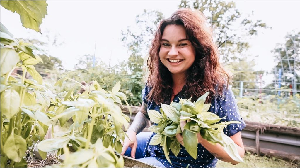 Roots and Refuge Farm: When the Garden Decides Dinner (Garlic and Basil Harvest) | VLOG When the Garden Decides Dinner (Garlic and Basil Harvest) | VLOG