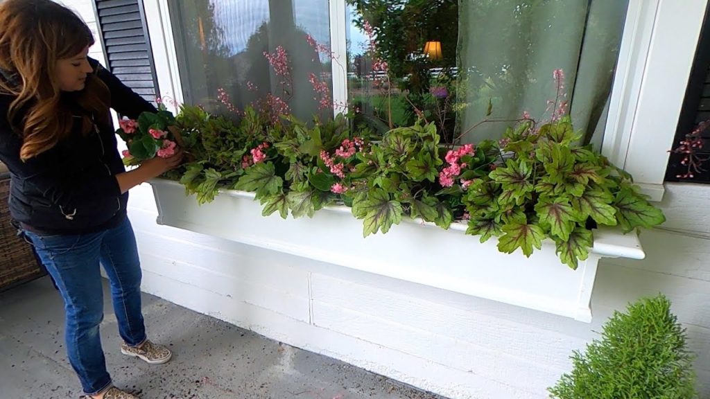 Planting Full Shade Window Boxes! 💚🌿💚 // Garden Answer
