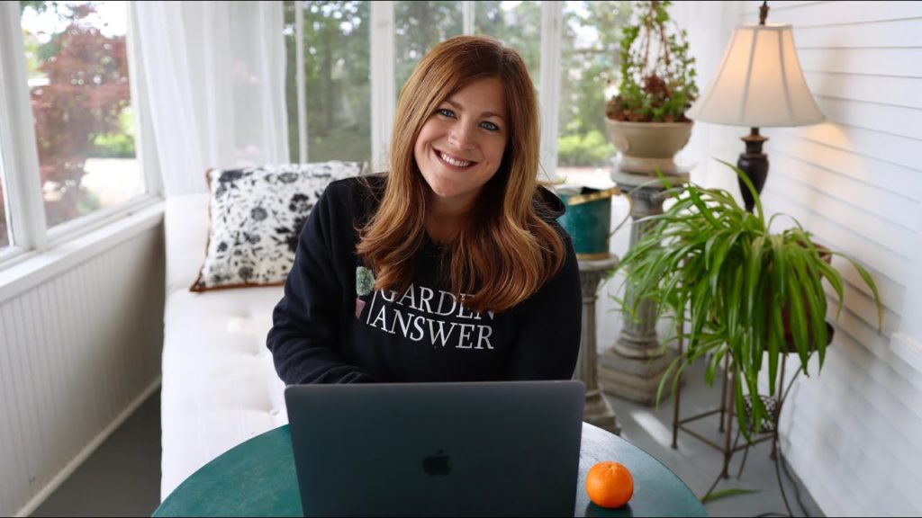 What Happened With the Bee Swarm? // Are You Worried Your Wood Chips Might Come From Sick Trees?