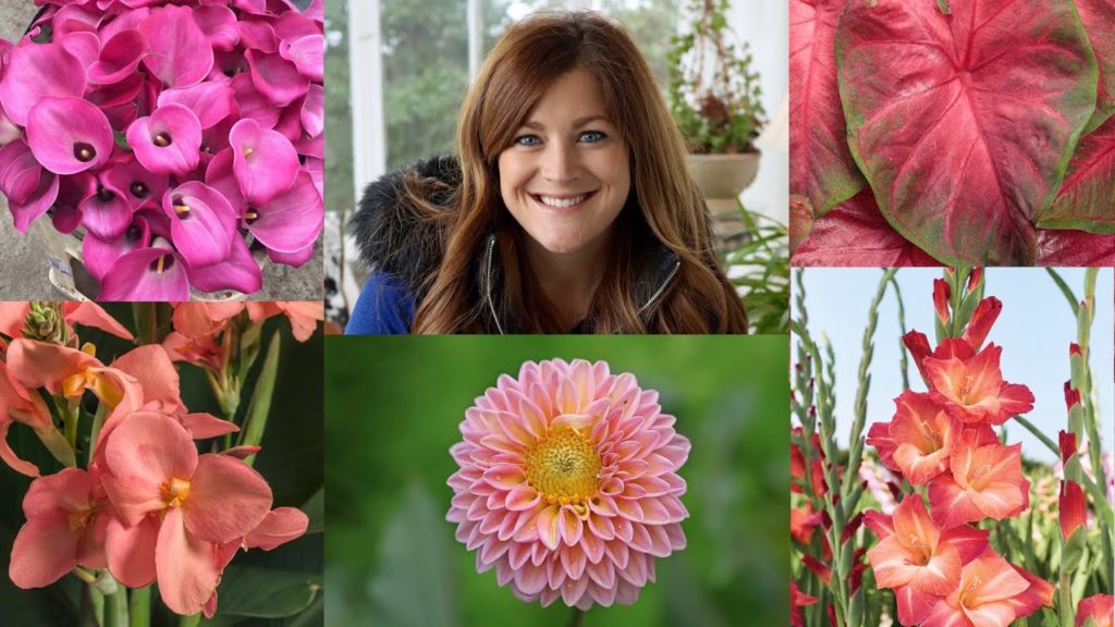 5 Popular Bulbs You Can Plant Now for Gorgeous Summer Color! 🌸🌼🌺 // Garden Answer
