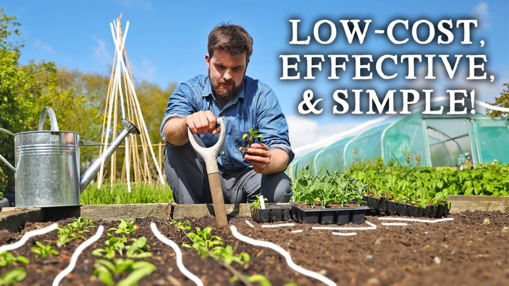 A Clever Method to Increase Your Garden's Productivity That Every Gardener Can Use