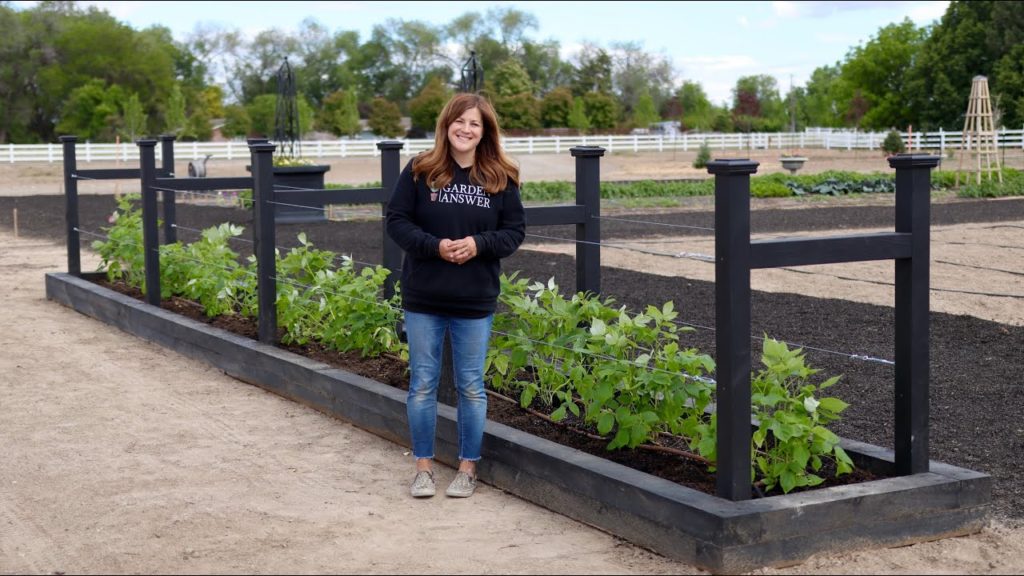 Planting Raspberries in Our New Raised Beds! 🌿 // Garden Answer