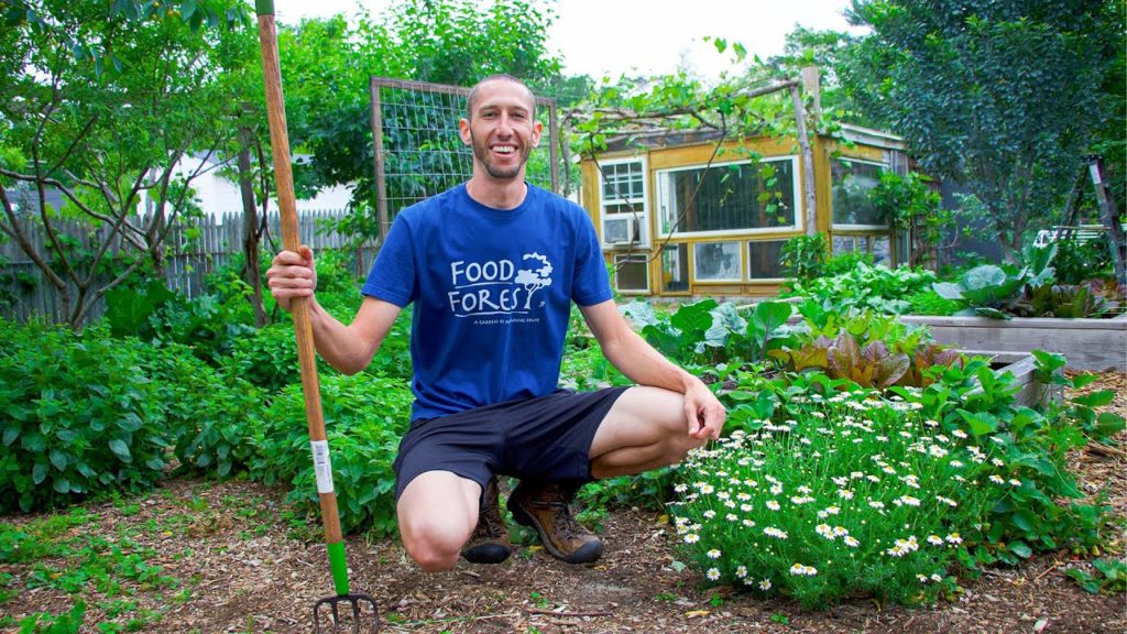 Backyard Permaculture Garden Tour, 3 Food Forests on 1 Property!