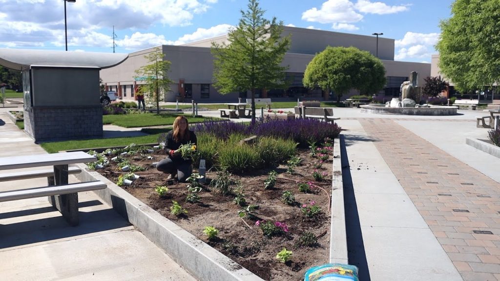 Filling Up Large Spaces with Annuals for Big Color! 🌸🙌💚 // Garden Answer