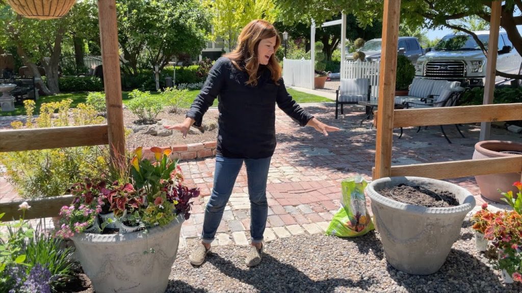 Garden Answer: I LOVE This Combination of Plants + Greenhouse Update! ❤️❤️❤️// Garden Answer I LOVE This Combination of Plants + Greenhouse Update! ❤️❤️❤️// Garden Answer