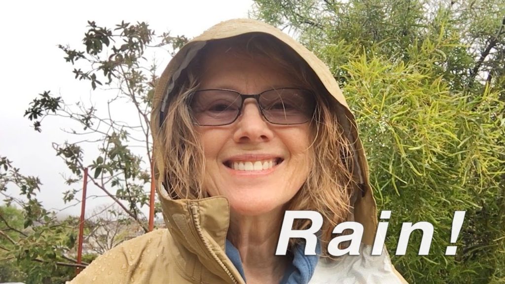 Kaye Kittrell: Rainy Day AGAIN! How to make them worthwhile! Rainy Day AGAIN! How to make them worthwhile!