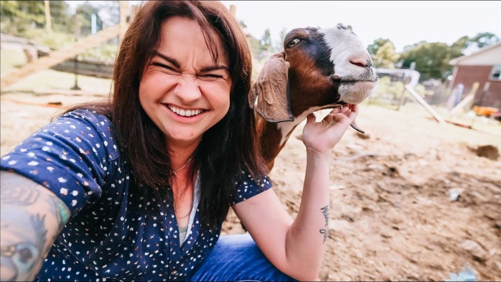 Roots and Refuge Farm: 48 Days Until the Move | VLOG 48 Days Until the Move | VLOG