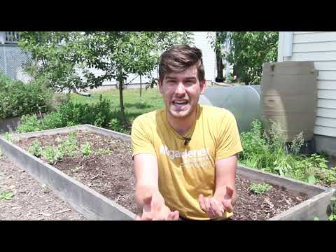 MIgardener: You Could Be HURTING Your Garden For YEARS by Adding This 1 Thing! You Could Be HURTING Your Garden For YEARS by Adding This 1 Thing!