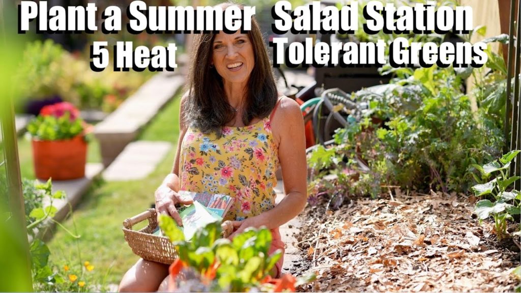 How to Plant a Summer Salad Station with 5 Heat Tolerant Greens 🥬☀️🌱