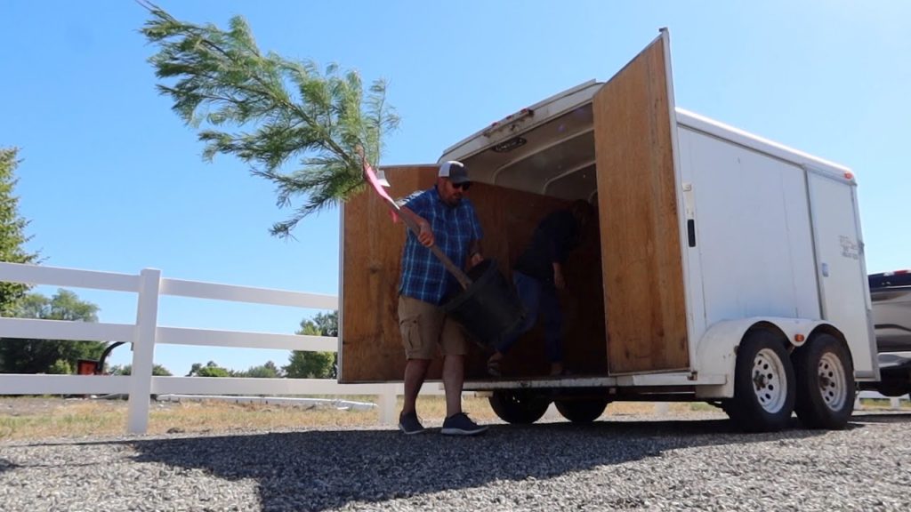 Picking Out Bricks For the New Glass Greenhouse + Plant Shopping! 🌿 // Garden Answer