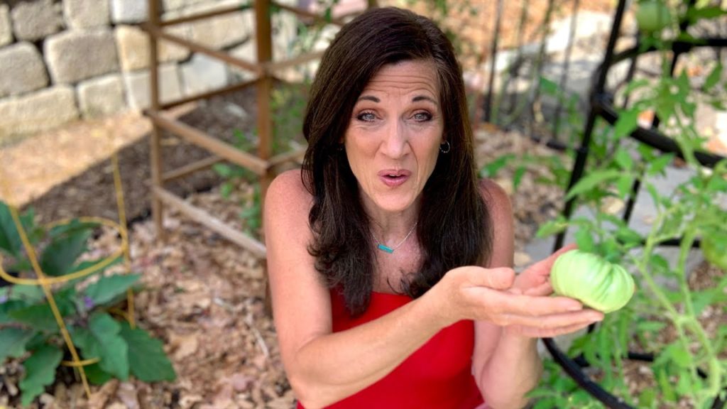 CaliKim: π
Live: Essential Tomato Care Tips to Manage Disease π
(REPLAY) π
Live: Essential Tomato Care Tips to Manage Disease π
(REPLAY)