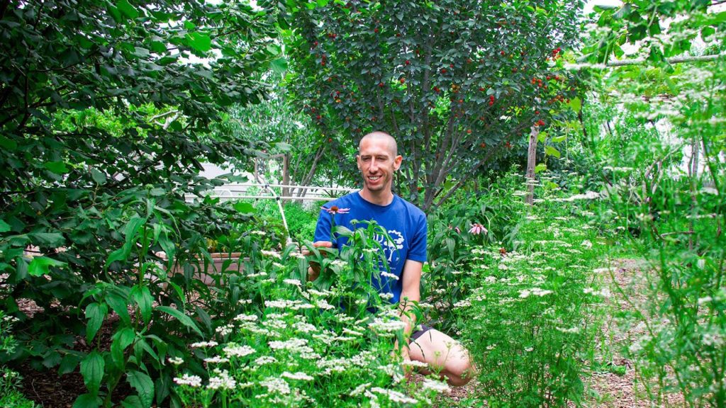 Over 35 Edible Perennials in a Backyard Garden, Fruits You Have NEVER Seen!