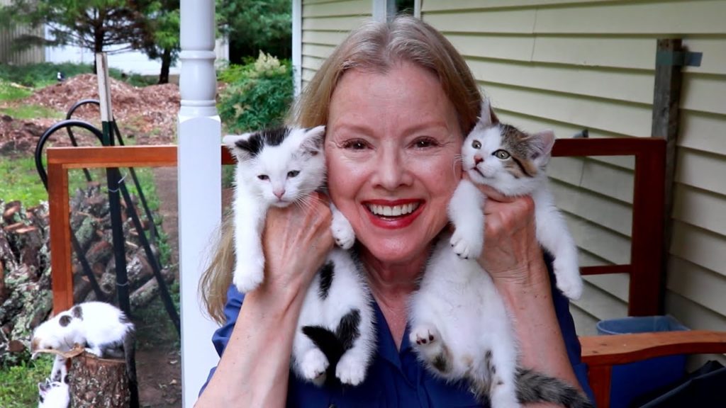 Kaye Kittrell: Homesteading on Rainy Days: KITTEN cuddles and the BEST POPCORN! Homesteading on Rainy Days: KITTEN cuddles and the BEST POPCORN!