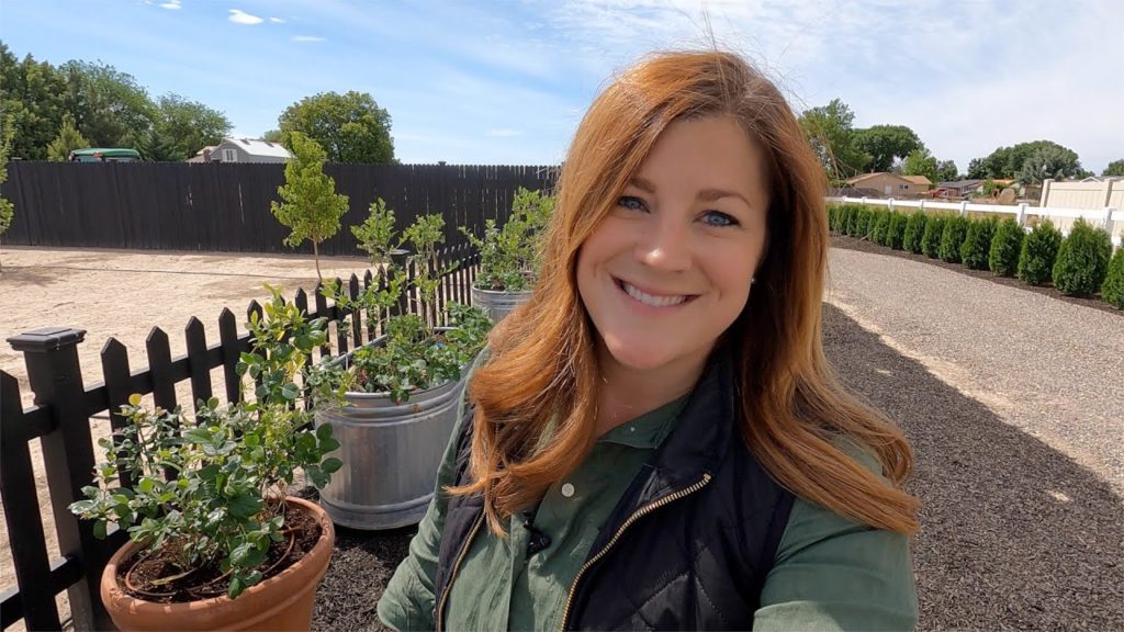 Garden Answer: Growing Blueberries in Containers! 💙🤤 // Garden Answer Growing Blueberries in Containers! 💙🤤 // Garden Answer